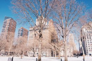 Cosas Para Hacer en Invierno en New York